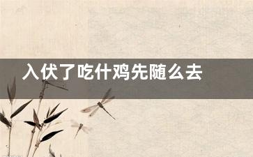 入伏了吃什鸡先随么去湿气 入伏了吃什么去湿气